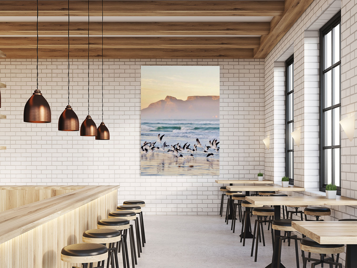 Cape Town Seagulls Wallpaper - 23 Interiors