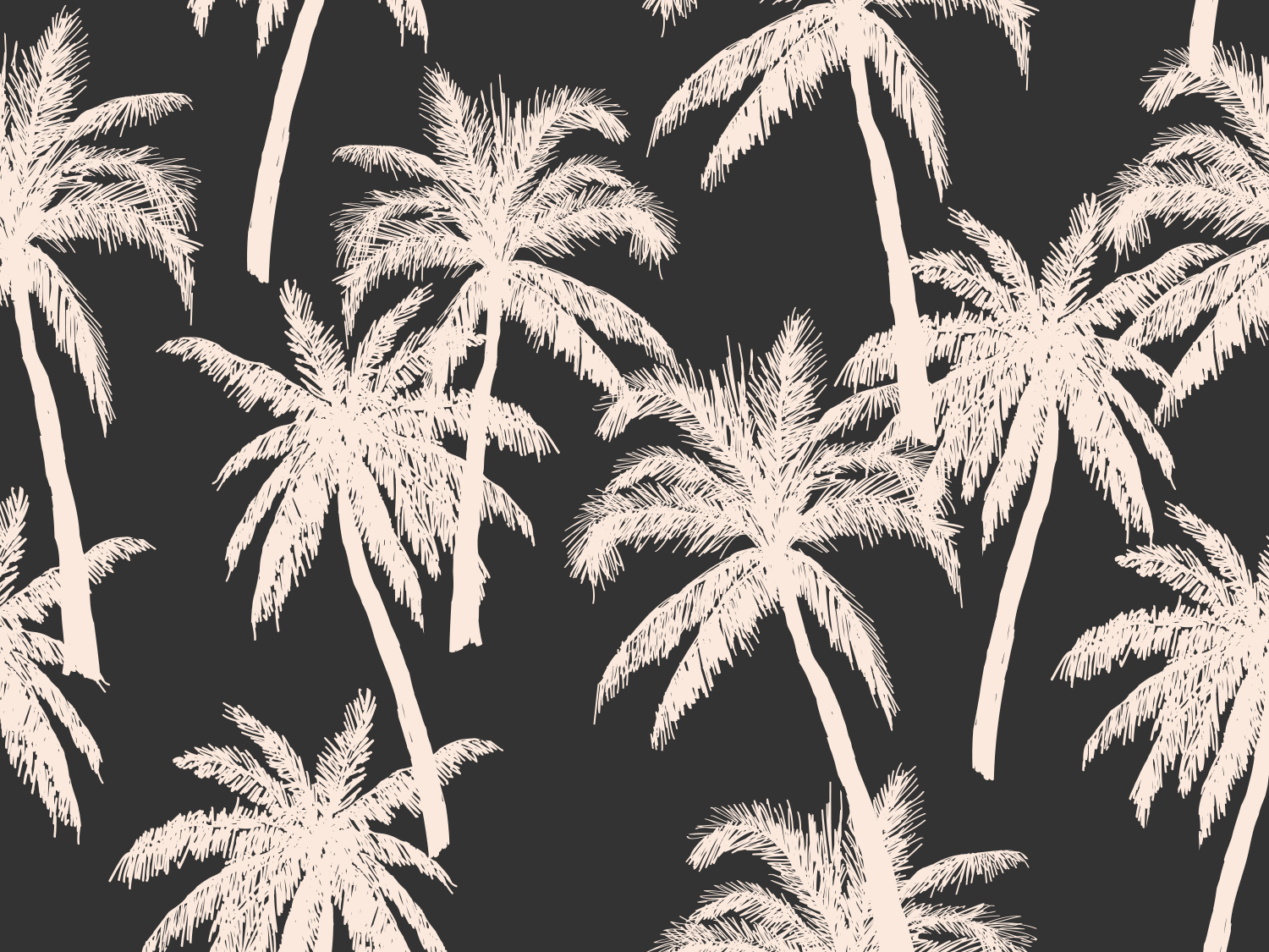 Bora Bora Wallpaper 23 Interiors